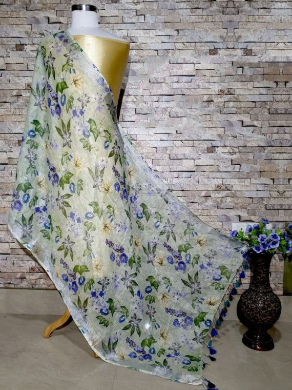 Subtle Green textured Designer Digital Linen Dupatta_