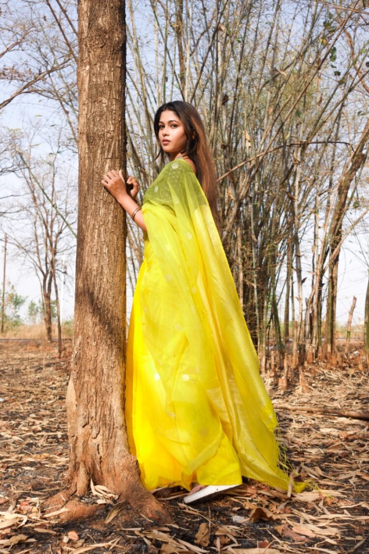 Energizing-Yellow-Blue-Half-And-Half-Cotton-Silk-Saree-With-Small-Butti-Weave