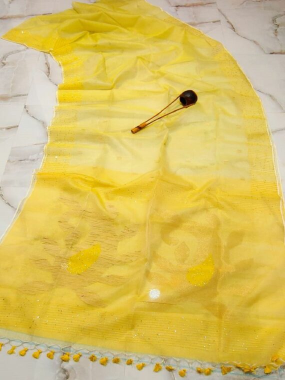 Brilliant Yellow Tissue Muslin Resham Luminous Handwoven Saree