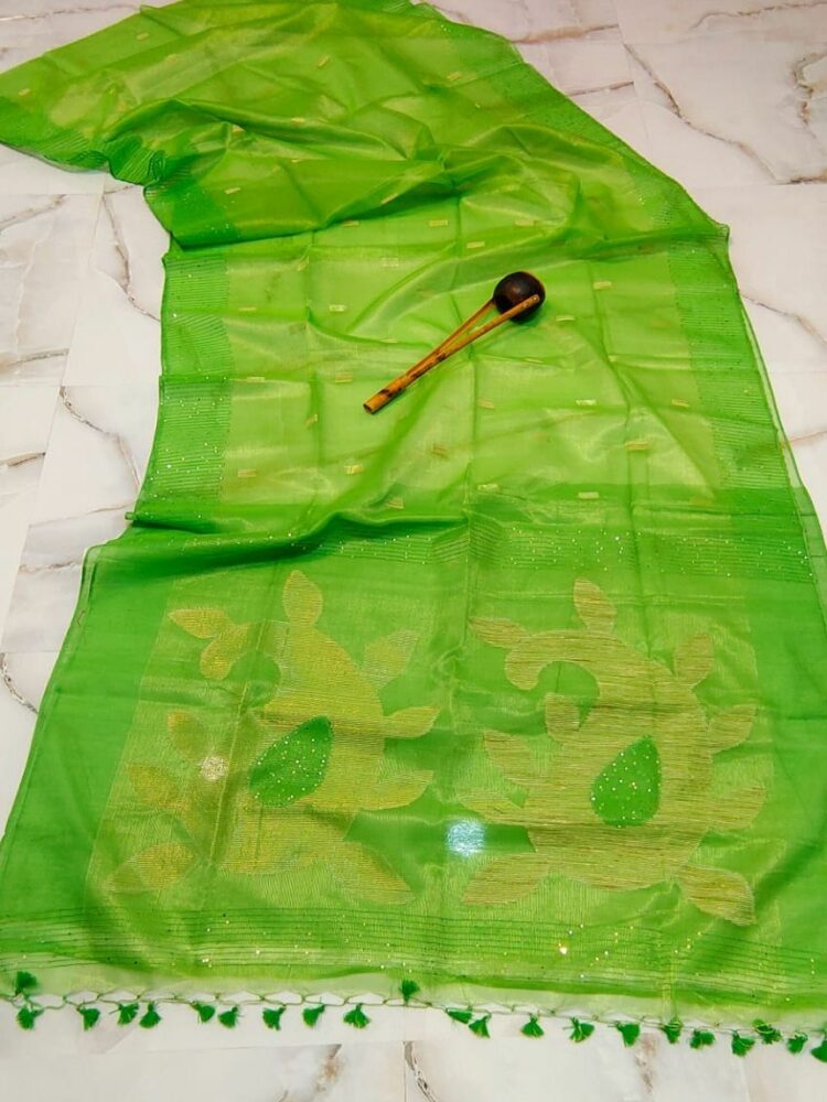 Wondorus Green Tissue Muslin Resham Luminous Handwoven Saree