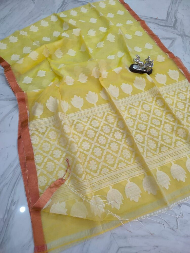 Faded Yellow Tulip Design Handwoven Pure Resham Muslin Saree
